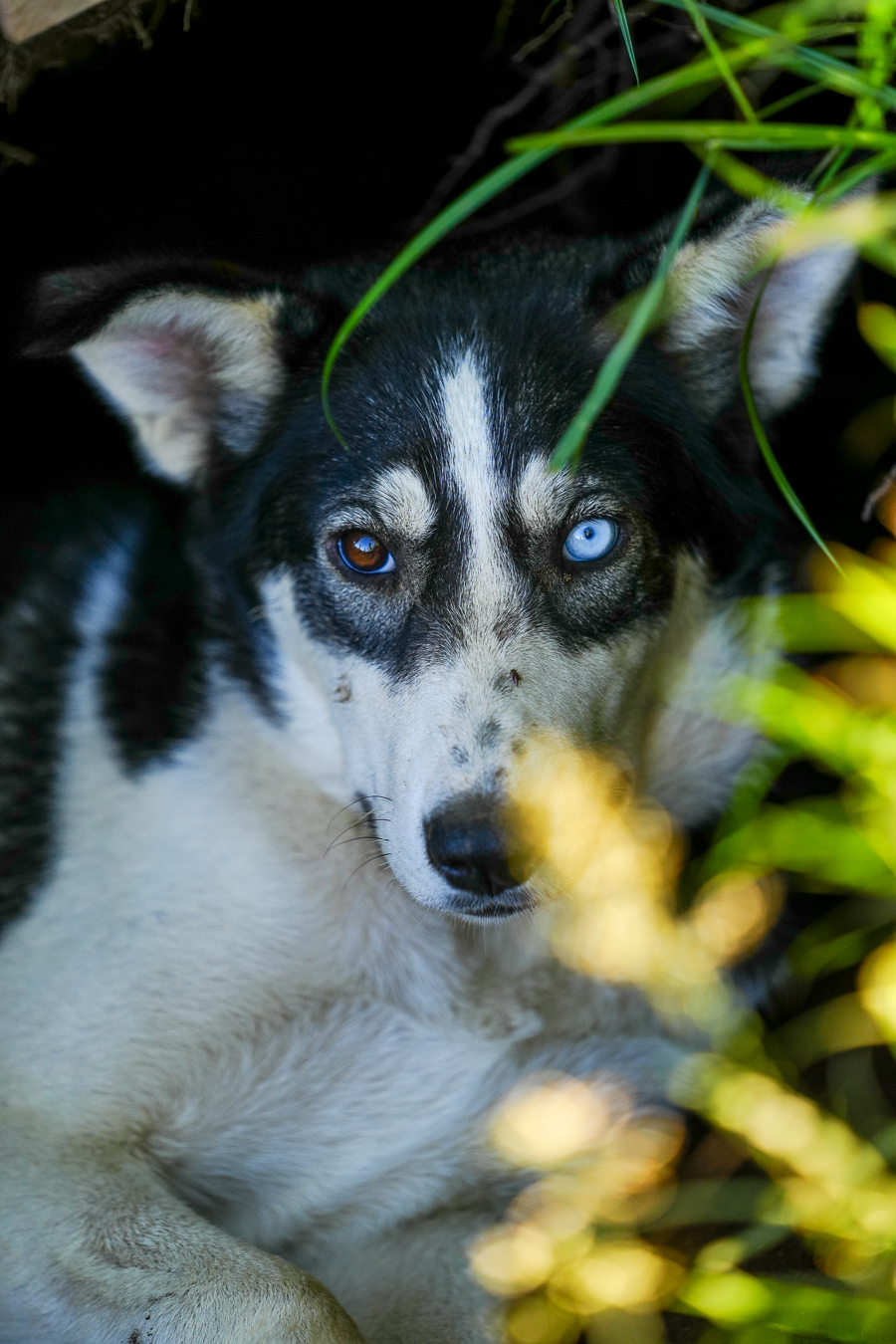 Невозможно не влюбиться