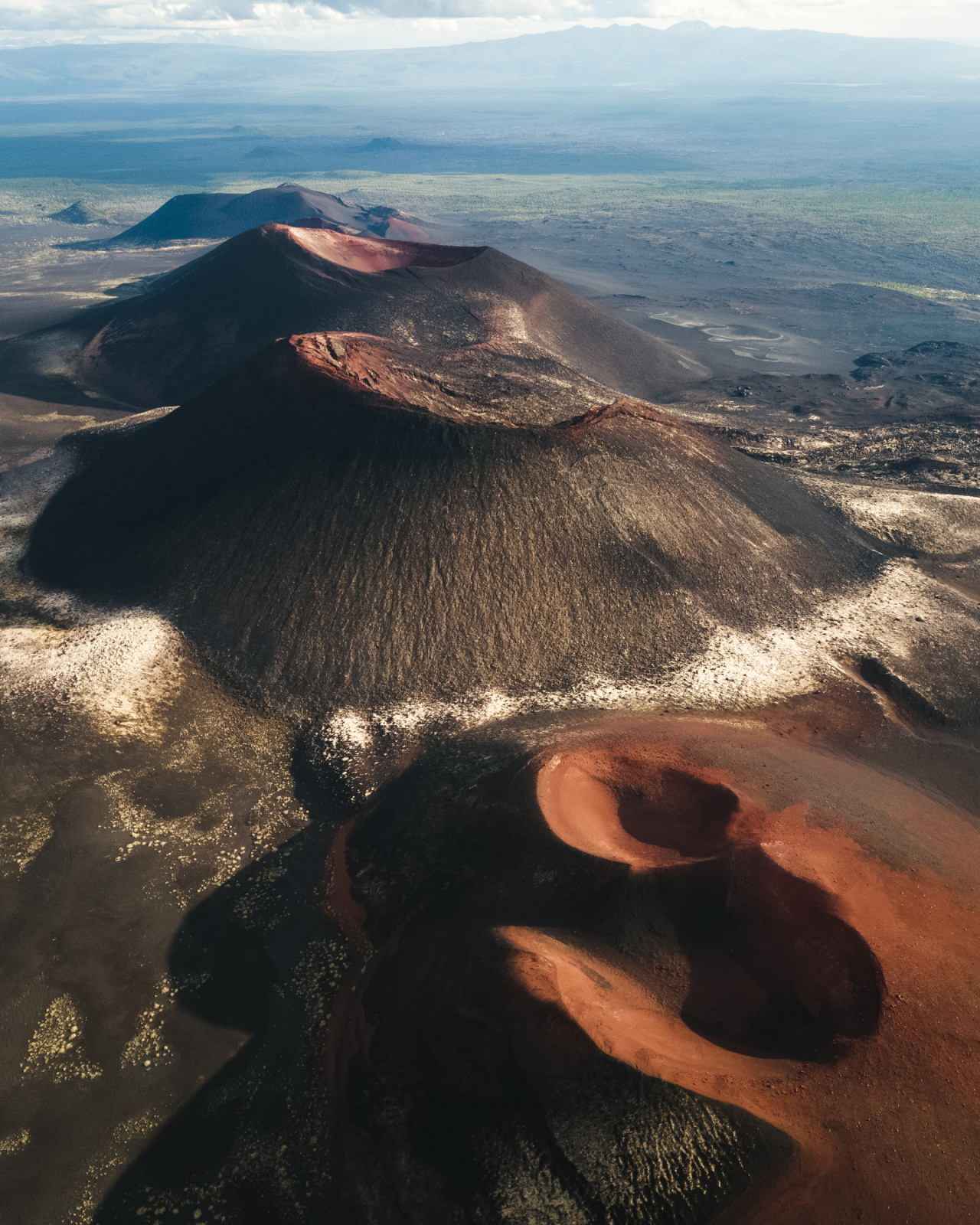 Марсианские виды