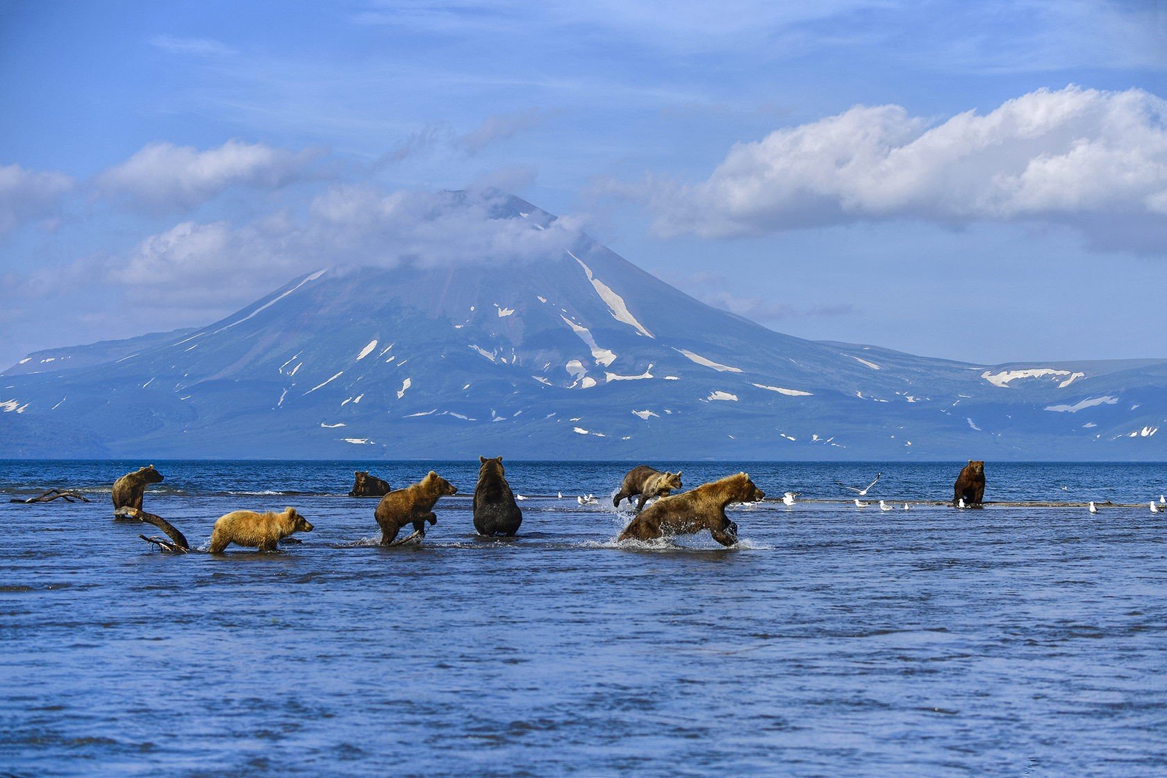 Маршрут: Курильское озеро
