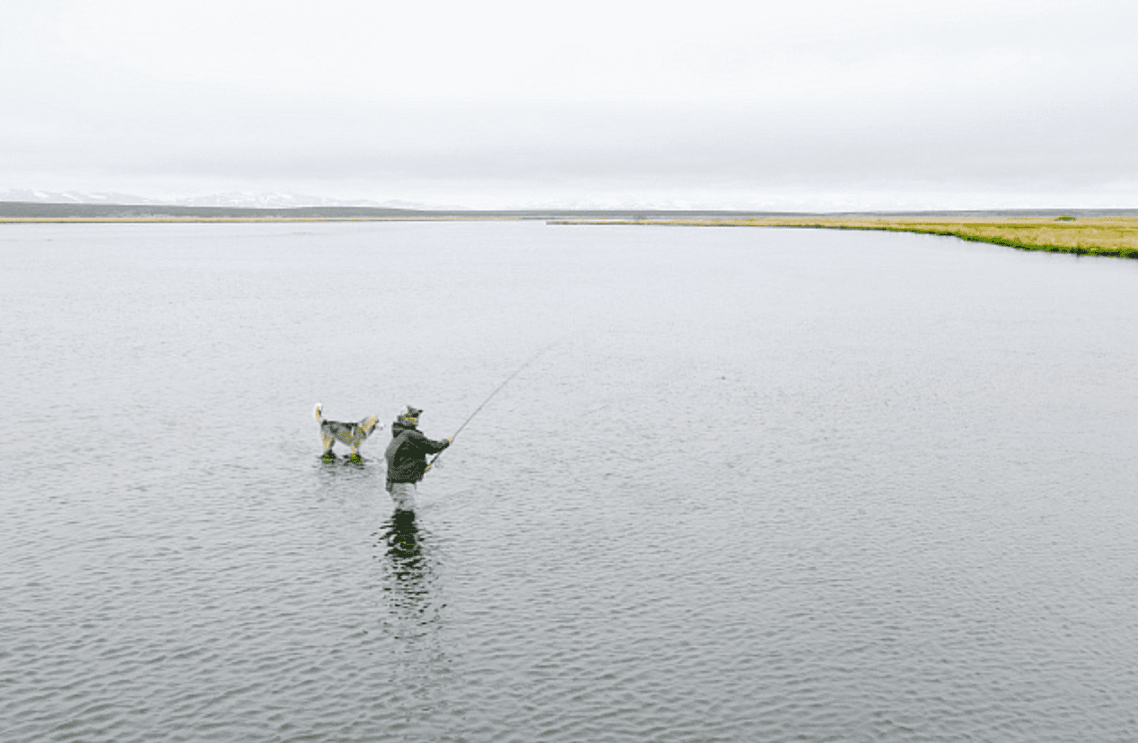 Гастрономическое сопровождение